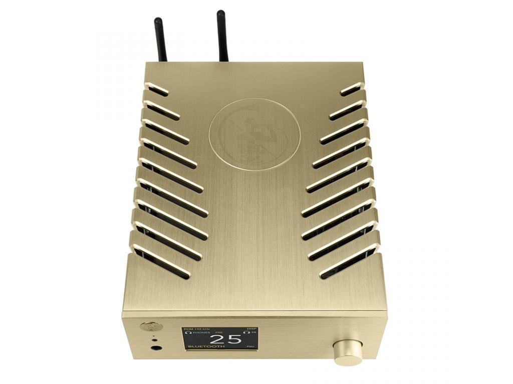 goldnote ds 10 1