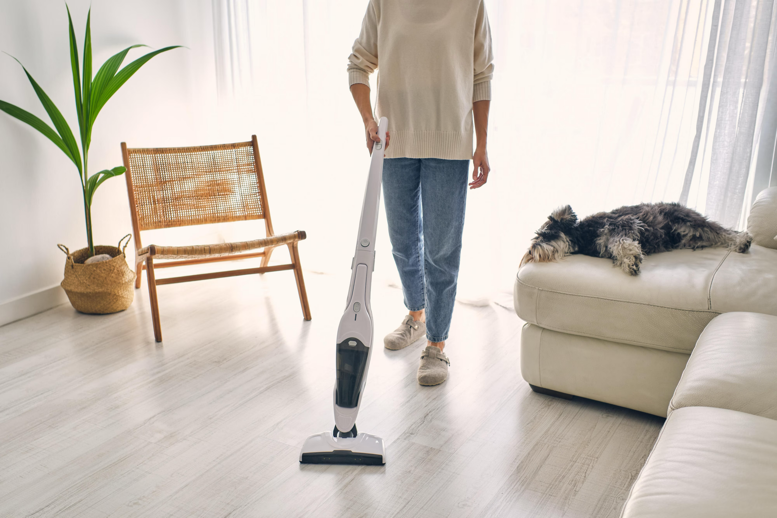 The Consumer magazine tested 47 stem vacuum cleaners. The most expensive one was the best, but…